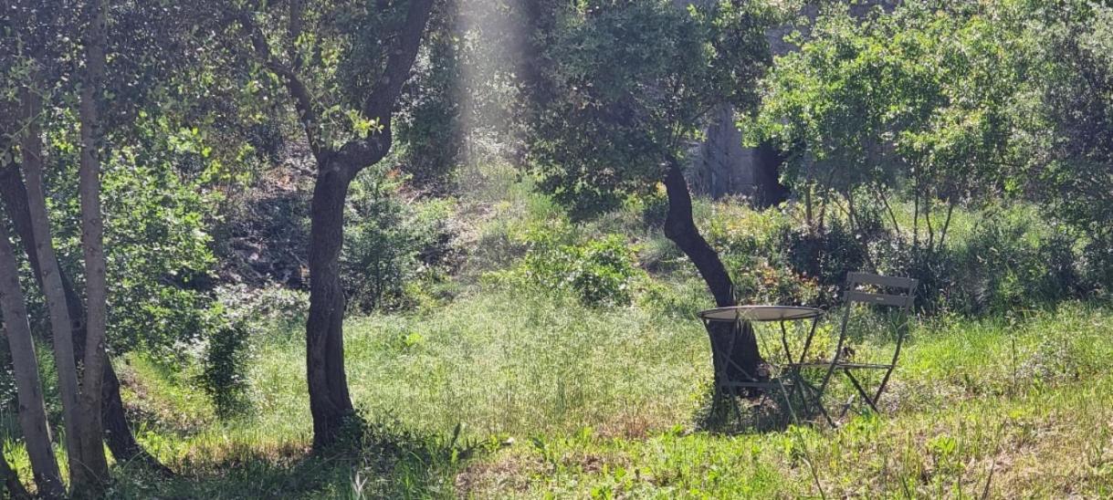 Saint-Esteve-Janson Les Bois De Zola Entre Provence Et Luberon 아파트 호텔 객실 사진
