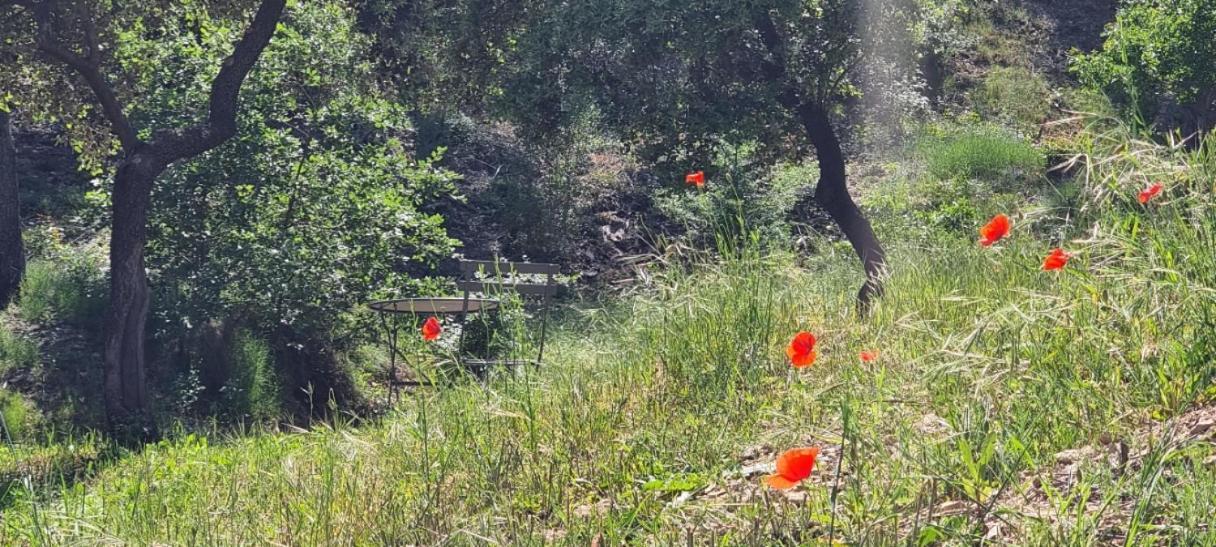Saint-Esteve-Janson Les Bois De Zola Entre Provence Et Luberon 아파트 호텔 외부 사진