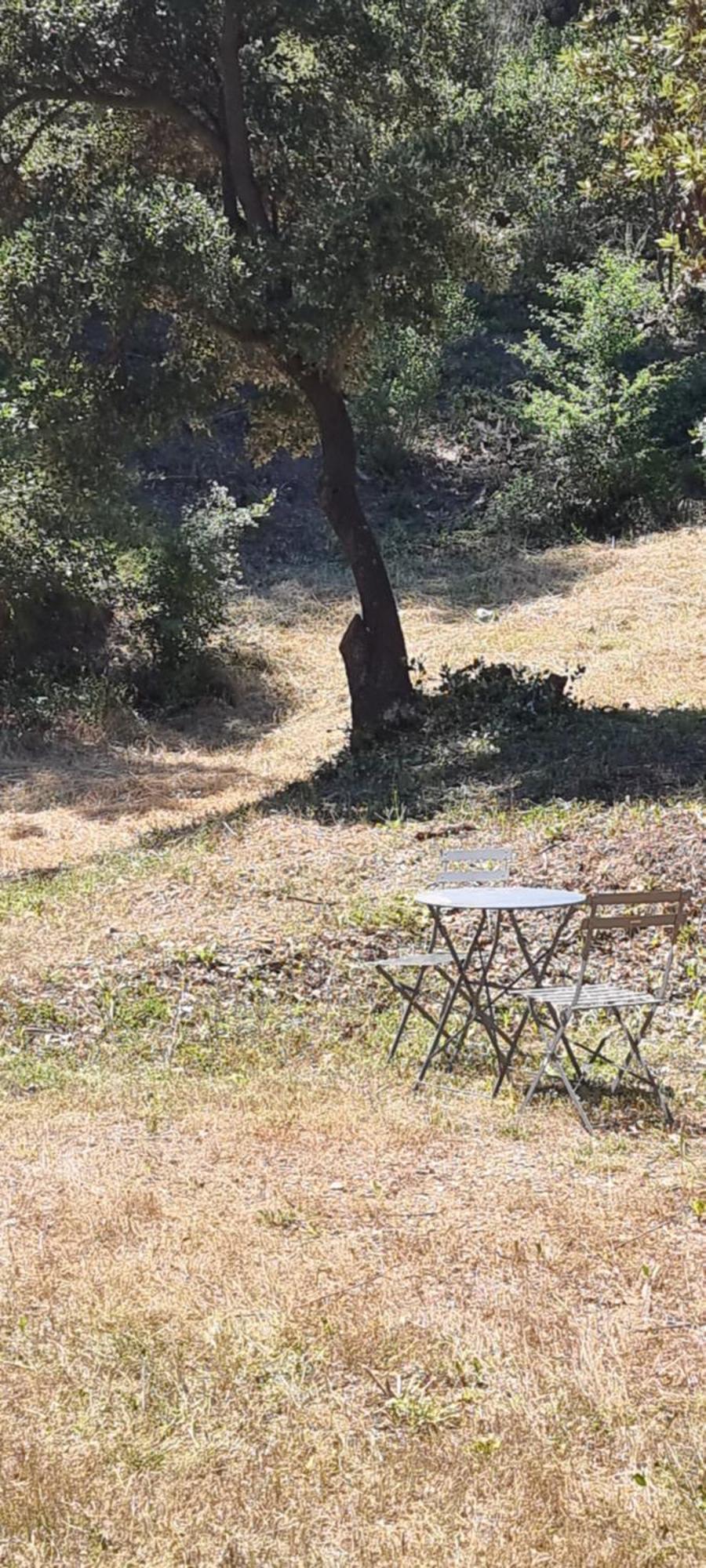 Saint-Esteve-Janson Les Bois De Zola Entre Provence Et Luberon 아파트 호텔 외부 사진